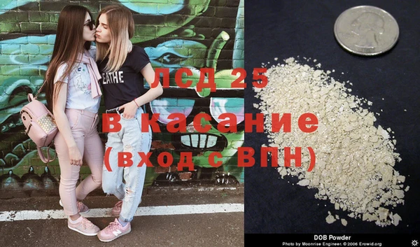амф Магас