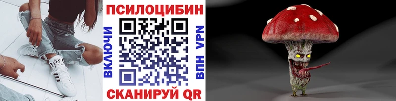 Псилоцибиновые грибы ЛСД  blacksprut вход  Нижнекамск 