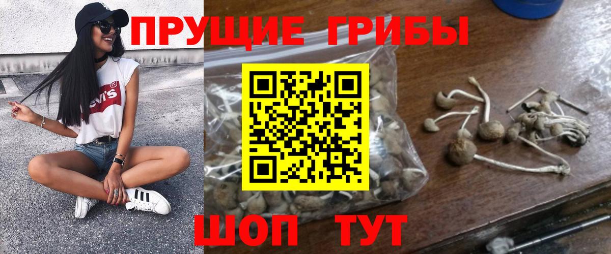 Галлюциногенные грибы Magic Shrooms  Нижнекамск  Галлюциногенные грибы ЛСД 