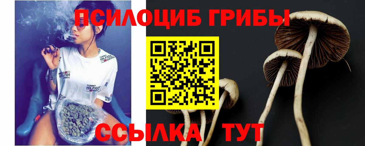 Галлюциногенные грибы прущие грибы Нижнекамск